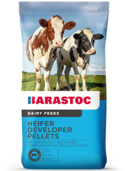 Barastoc_Dairy_FOP_HeiferDevPellets-LR