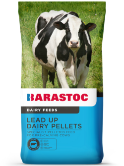 Barastoc_Dairy_FOP_LeadUpDairy-LR
