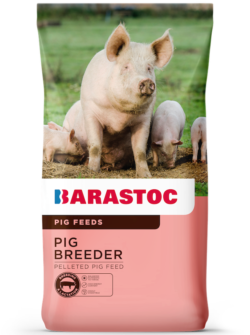 Barastoc_Pig_PigBreeder_FOP-HR