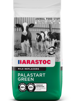 palastart-green